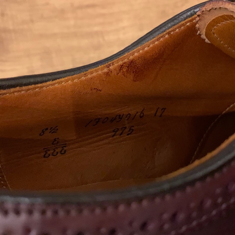 ALDEN（オールデン） ＃975 コードバン ロングウィングチップ