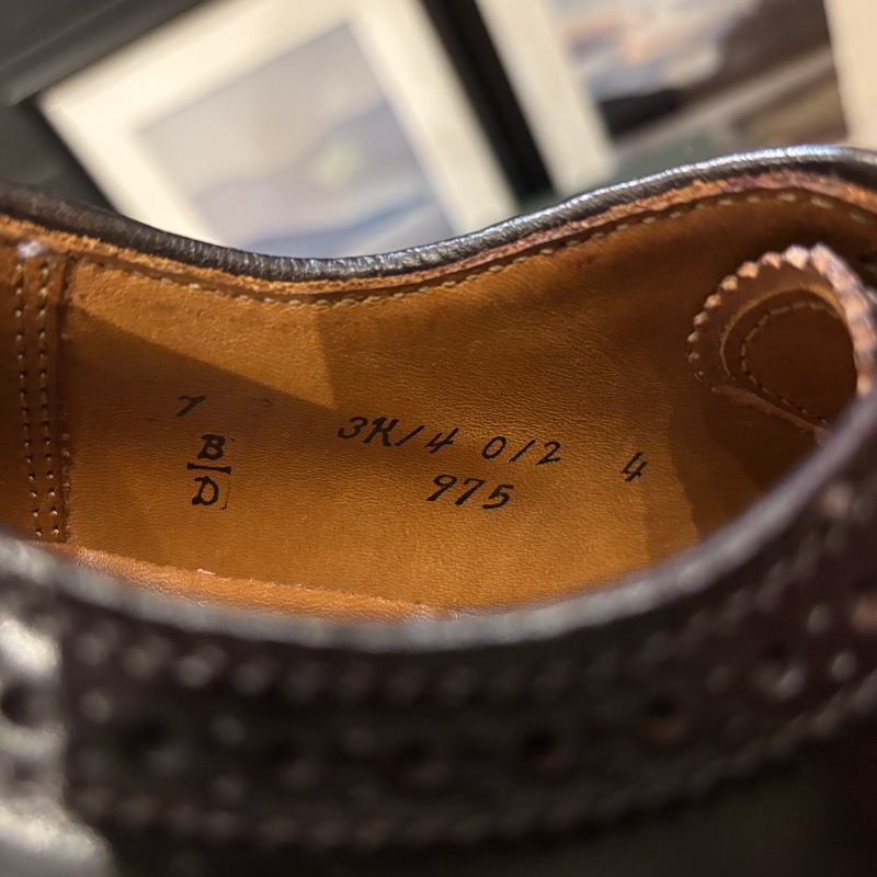 ALDEN(オールデン) #975 コードバン ロングウィングチップ