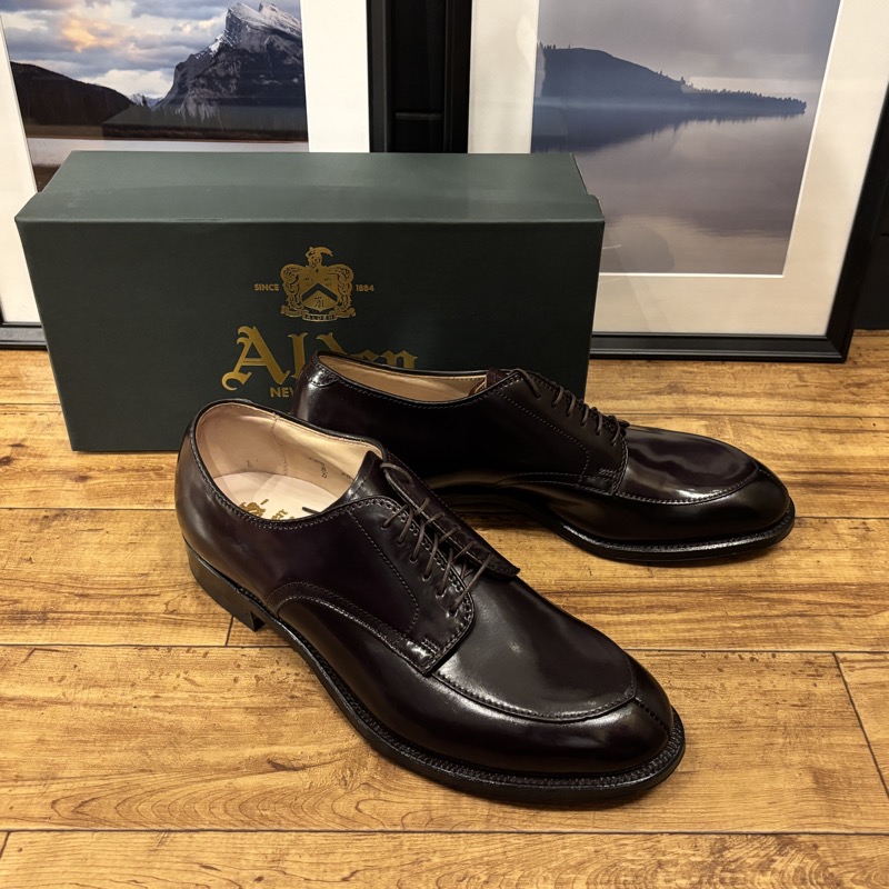 ALDEN(オールデン) #54321 コードバン Vチップ シューズ