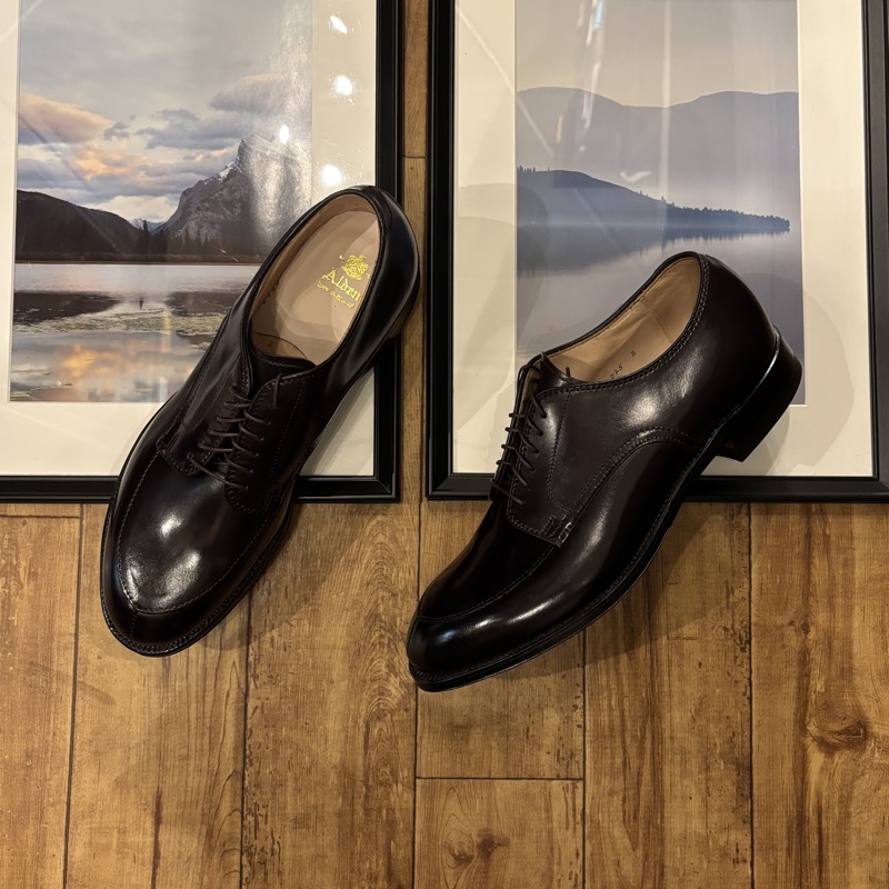 ALDEN(オールデン) #54321 コードバン Vチップ シューズ